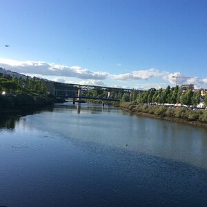 IMG_4876.jpg