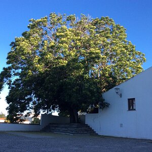 IMG_4891.jpg