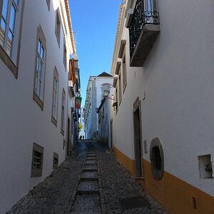 IMG_4903.jpg
