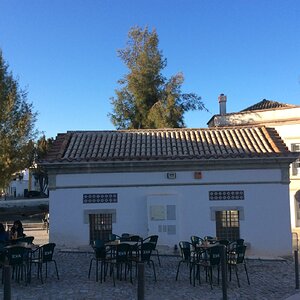 IMG_4905.jpg