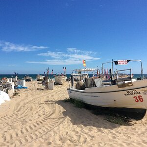 IMG_4866.jpg
