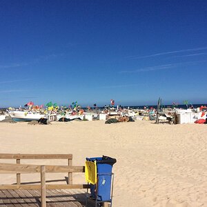 IMG_4869.jpg