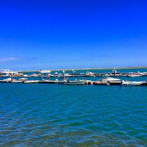IMG_5021.jpg
