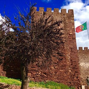 IMG_2888(1).jpg
