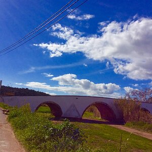 IMG_2906(1).jpg