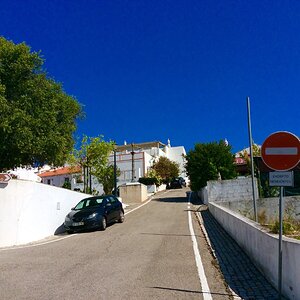 IMG_9205.jpg