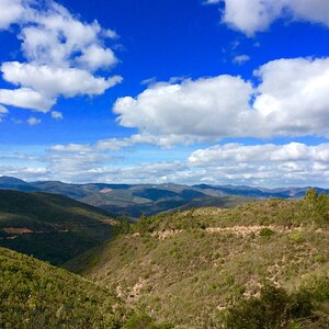 IMG_2877(1).jpg