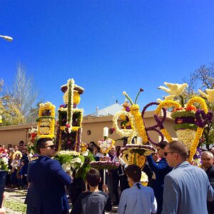 IMG_9230.jpg