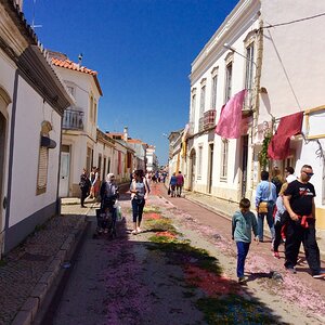 IMG_9238.jpg