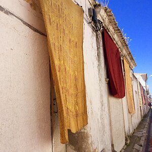 IMG_9239.jpg