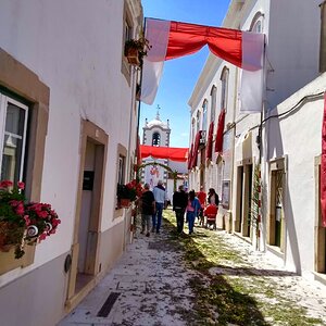 IMG_9273.jpg