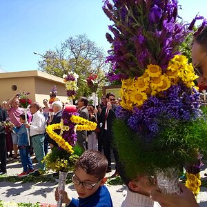 IMG_9299.jpg