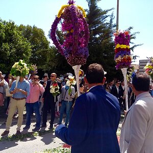 IMG_9307.jpg