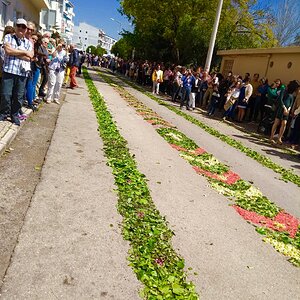 IMG_9320.jpg