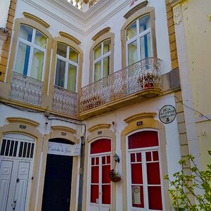 IMG_9329.jpg