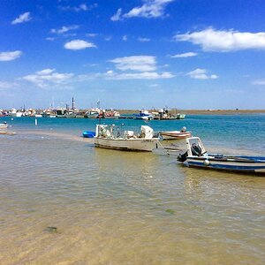 IMG_9245.jpg