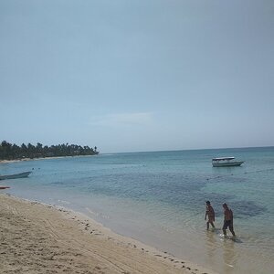 IMG_20190515_144627.jpg