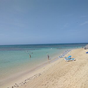 IMG_20190515_144617.jpg