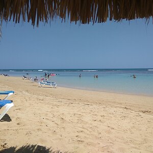 IMG_20190514_114651.jpg
