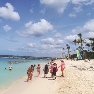 IMG_20190526_103147.jpg
