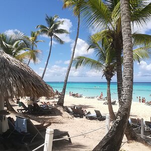 IMG_20190531_111219.jpg