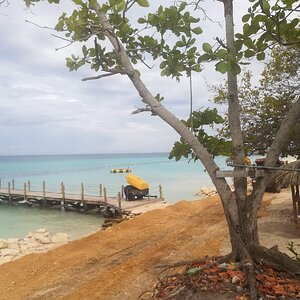 IMG_20190528_090817.jpg