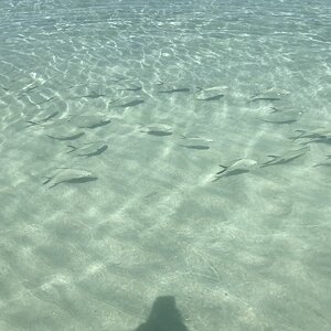F0669E0E-16DD-4DF8-AB0C-AD79D92CC32B.jpeg