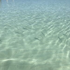 9B06630E-AD42-48F4-82CF-A285CB7B2C43.jpeg