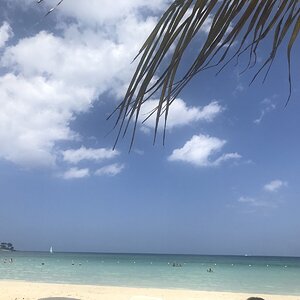 B2FA8C9E-6828-453F-B7CA-6839877654F2.jpeg