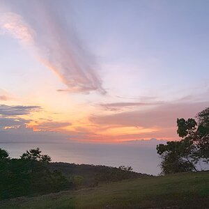5C5B06A4-D570-4E8F-8617-AD09BEFD9041.jpeg