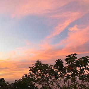 D003DB54-C959-4A6A-BC20-83AD31EE452F.jpeg