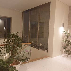 20190620_220048.jpg