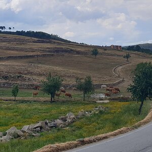 20190620_173600.jpg