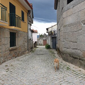 20190620_175540.jpg