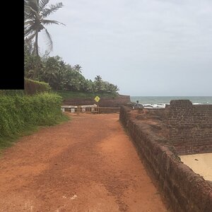IMG_3339.JPG
