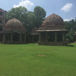 IMG_3781.JPG