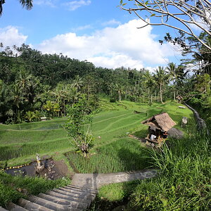 Templo Gunung Kawi.JPG