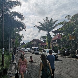 IMG_20190406_154321.jpg