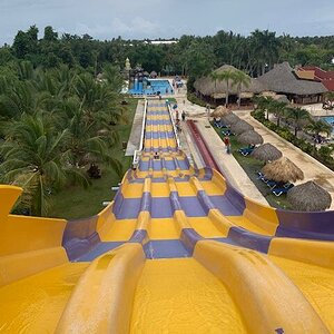 IMG_0849.jpg