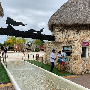 IMG_0863.jpg