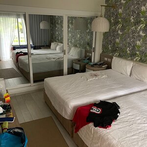 IMG_0888.jpg