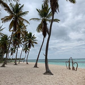 IMG_0895.jpg