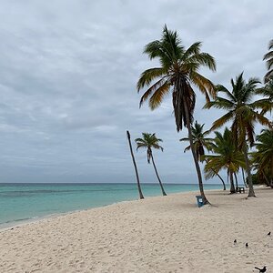 IMG_0896.jpg