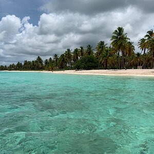 IMG_1197.jpg
