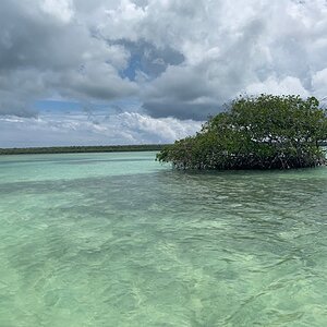 IMG_1275.jpg