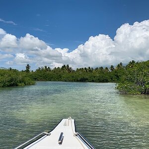IMG_1278.jpg