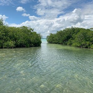 IMG_1282.jpg