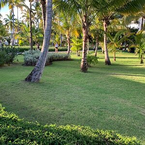 IMG_1515.jpg