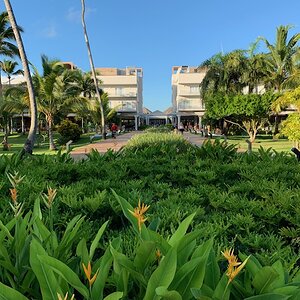 IMG_1517.jpg