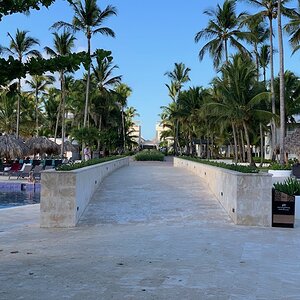 IMG_1527.jpg